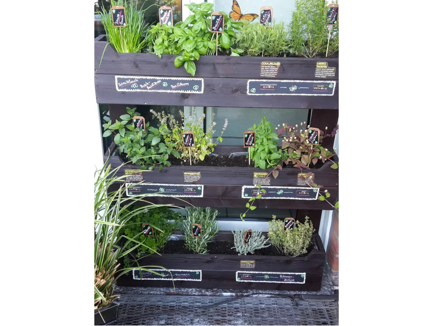 Kräuterbeet Terrasse