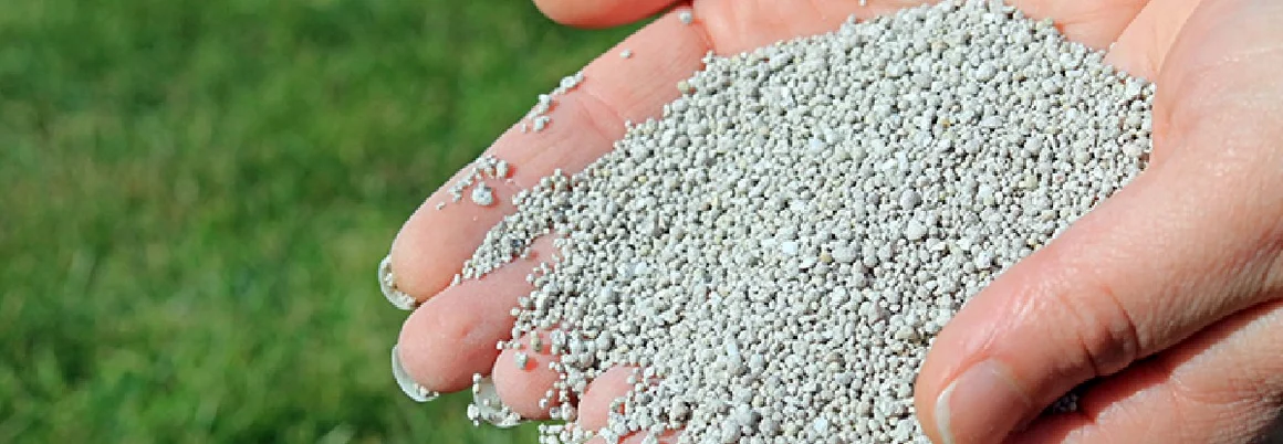 Hand streut Dünger auf Rasen