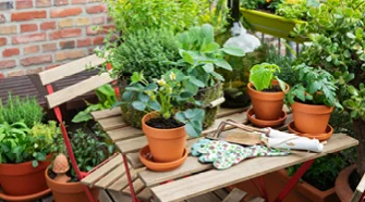 Balkongarten mit Kräutern, Erdbeeren und Gartenwerkzeug auf einem Tisch.