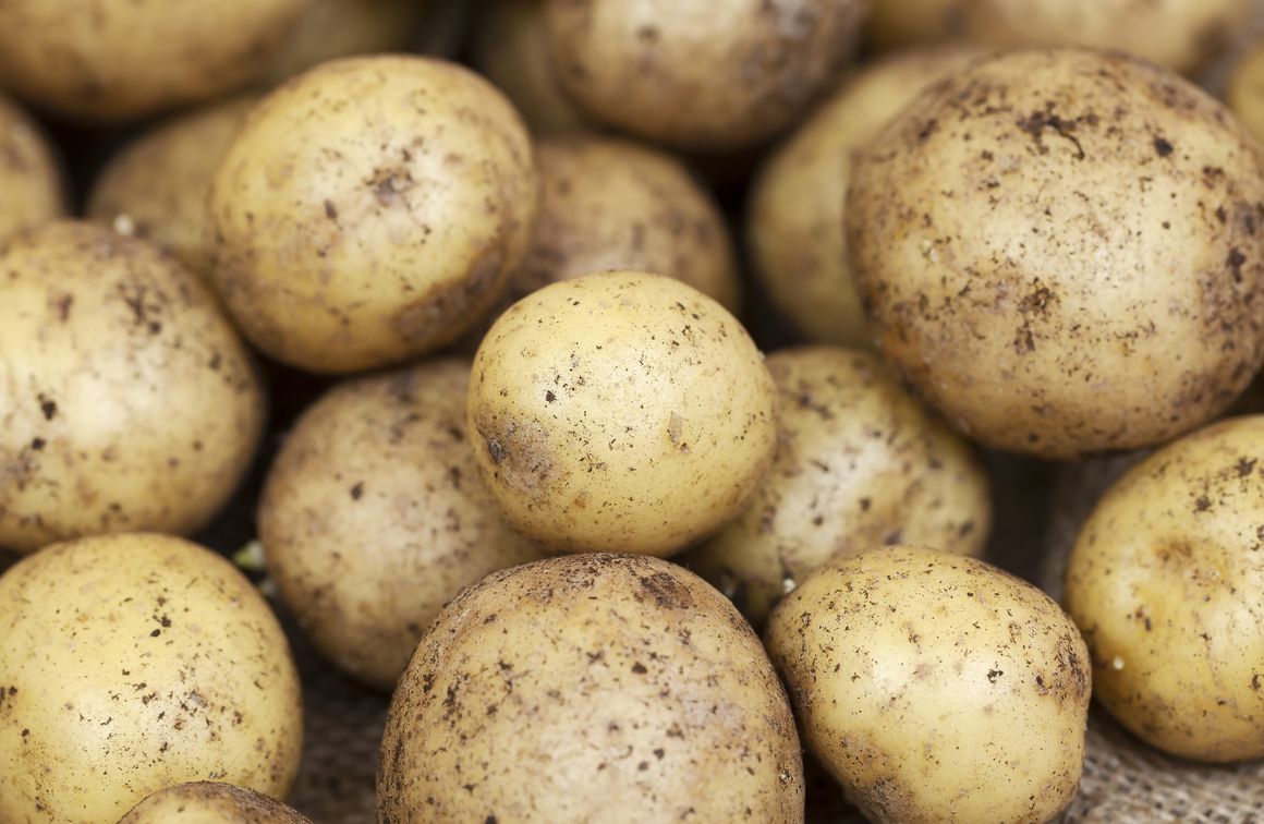 Kartoffeln