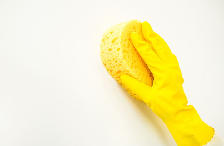 Mit Schwamm und Putzhandschuh wird eine Wand auf den Anstrich vorbereitet.