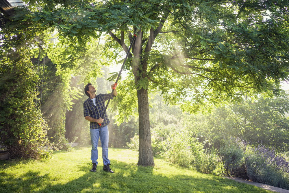 Person schneidet mit Astschere einen Baum.