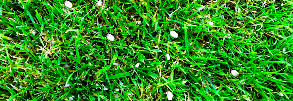 RT Saisonduengung Header 20 11 943x326 Düngemittel im Gras