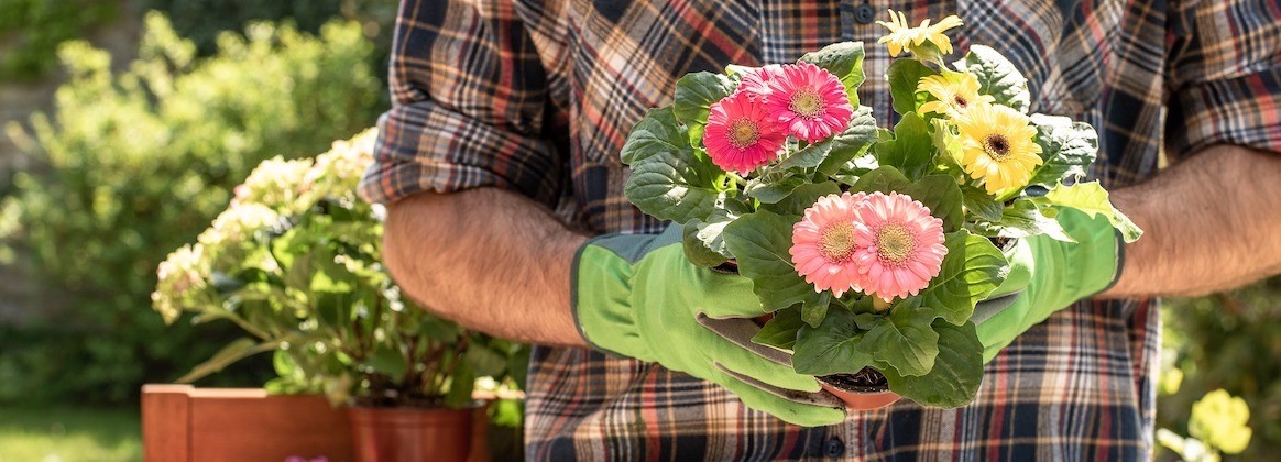 Gärtner steht mit grünen Handschuhen im Garten und trägt Blumenstrauß