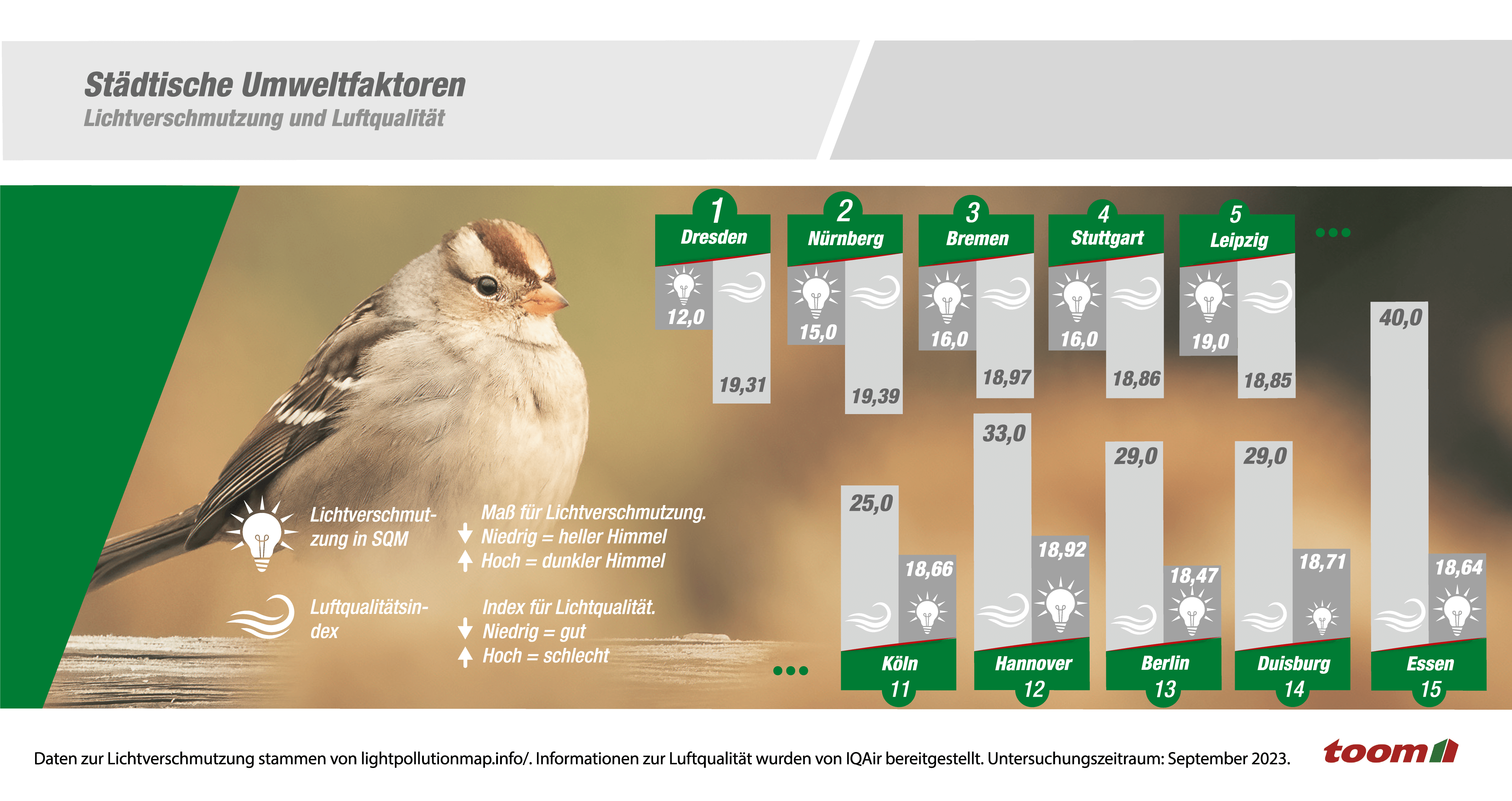 Infografik über die Lichtverschmutzung und Luftqualität in den untersuchten Städten