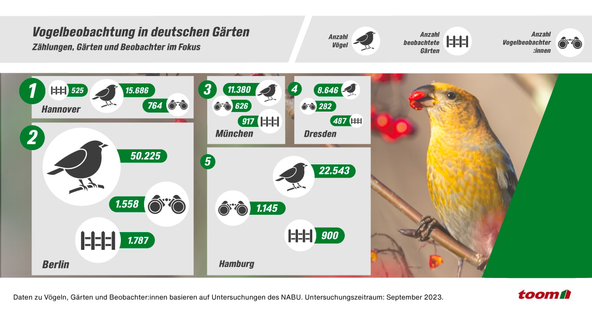Eine Grafik mit Vogel und Zahlen zu Vogelbeobachtungen