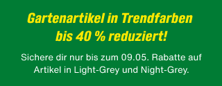 Promotion Banner