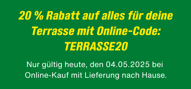 Promotion Banner