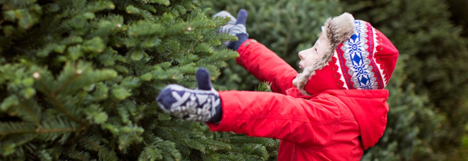 Kleiner Junge freut sich über Weihnachtsbaum