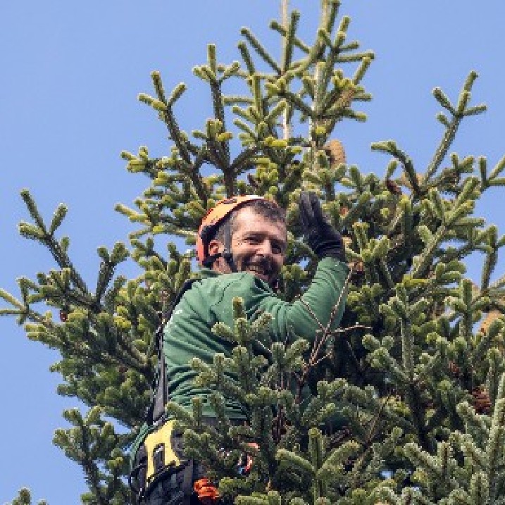 Fair Trees® Weihnachtsbäume