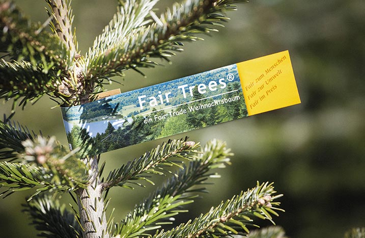 Fair Trees Papierschild an einem Tannenbaum
