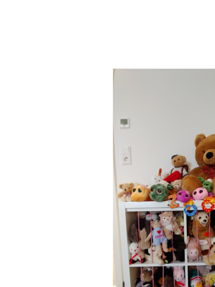 Ein Regal voller Stofftiere