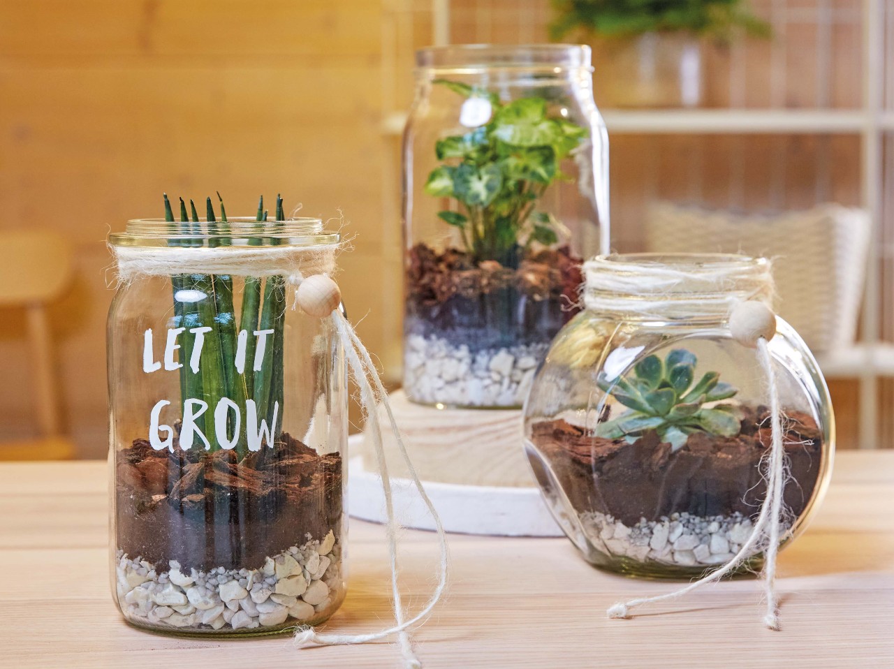 Drei Einmachgläser als Mini-Gärten