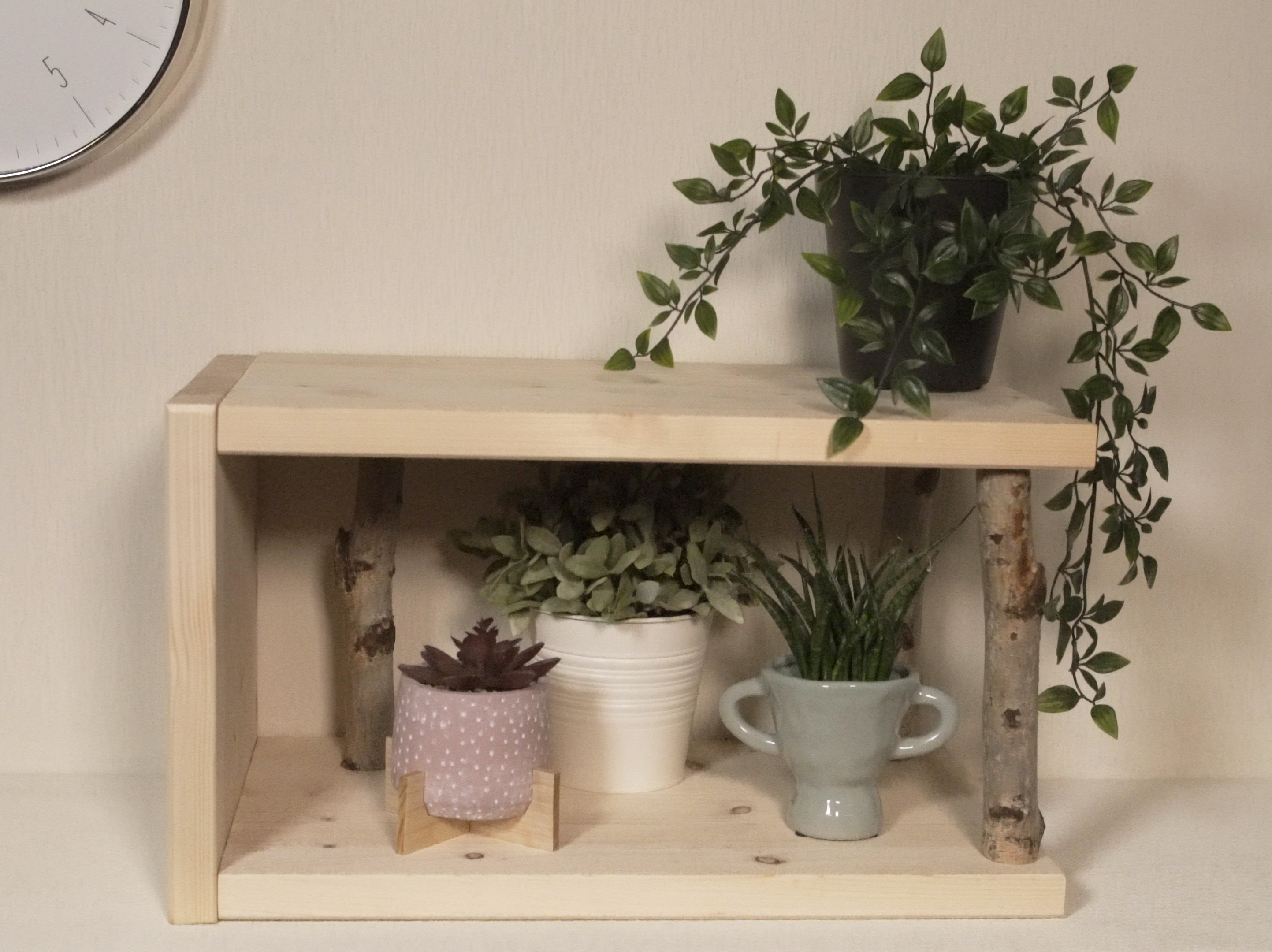 Holzregal mit Pflanzen