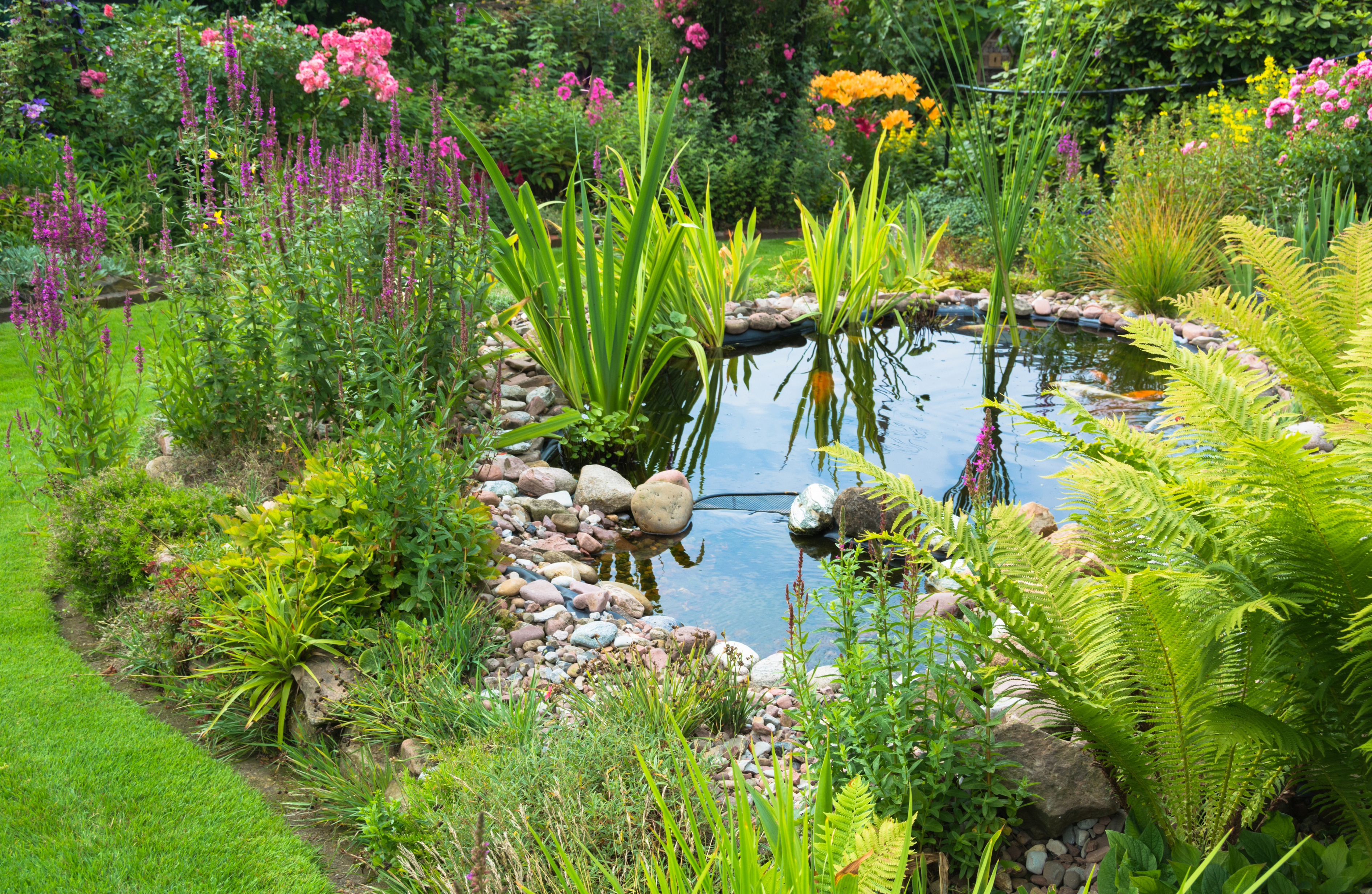 Gartenteich Passend Bepflanzen Toom Baumarkt