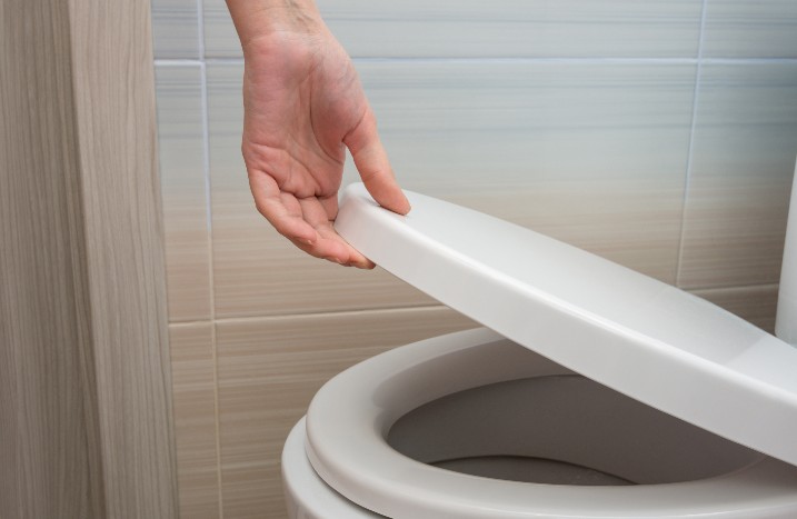 Toilettendeckel wird von Hand abgesenkt und schließt automatisch 