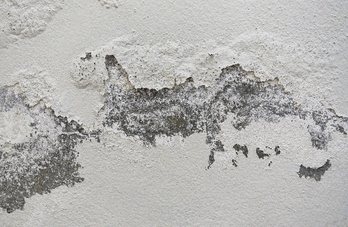 Feuchte Fassade Wand aufgeplatzte Wand Farbe Farbreste Feucht