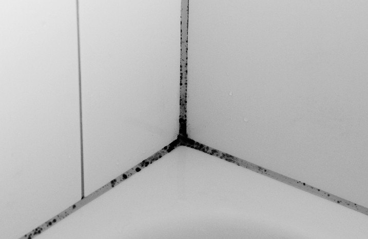 Schimmelbefall auf dem Silikon
