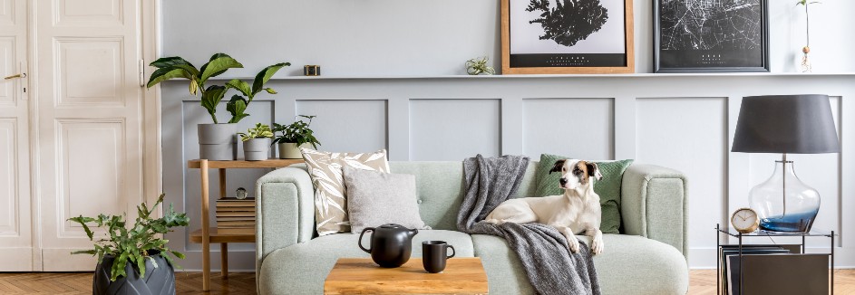 Möbel und Hund auf Sofa vor grauer Holzverkleidung