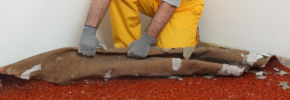 Person entfernt alten Teppichboden