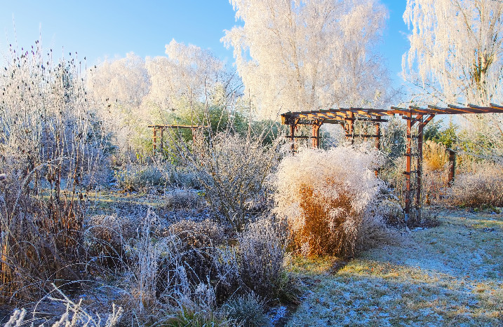 Verschneiter Garten
