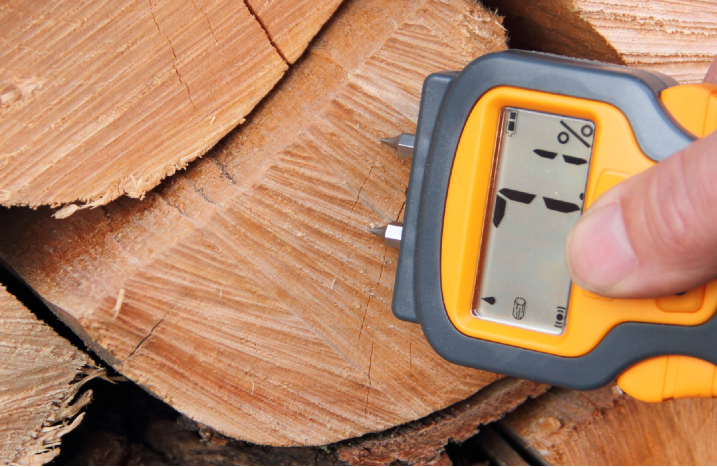Feuchtigkeit eines Holzstamms wird gemessen.