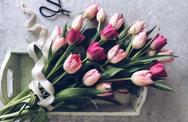 Blumenstrauß aus Tulpen
