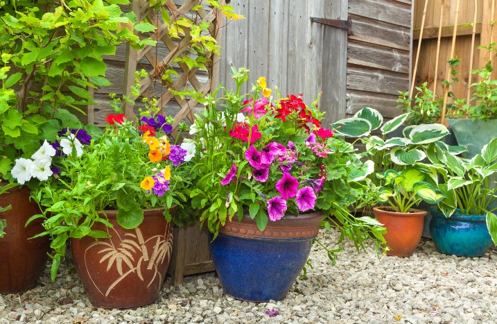 Topfgarten