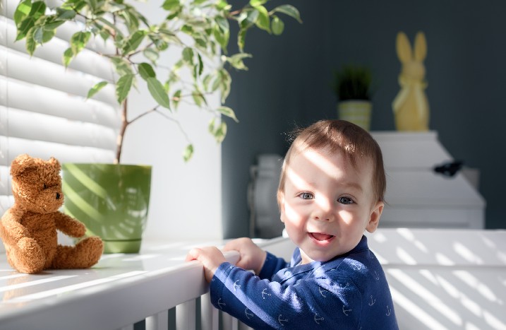 Kleinkind in einem Laufstall vor einer Zimmerpflanze