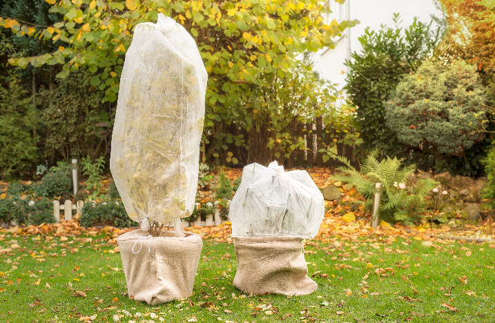 Pflanzen in Vlies eingepackt