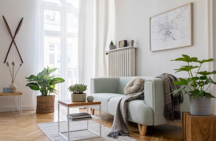 Zimmerpflanzen im Wohnzimmer