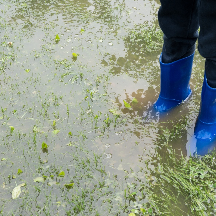 Garten vor Hochwasser schützen