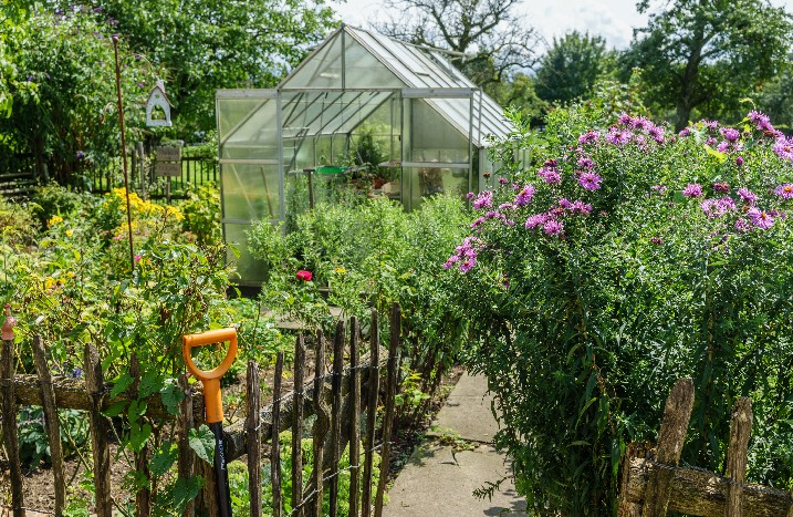 Bauerngarten mit vielen Pflanzen und einem Gewächshaus