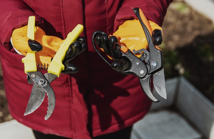 Person mit Gartenhandschuhen hält zwei verschiedene Gartenscheren in den Händen