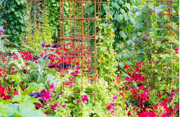Blumenbeet mit Rankhilfe