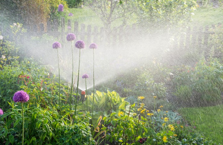 Wassersprenger über Pflanzen