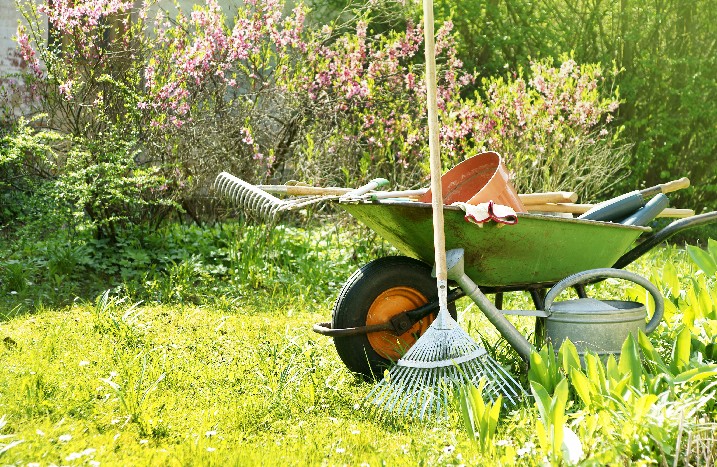 Auf einer Wiese steht eine Schubkarre mit Gartengeräten.