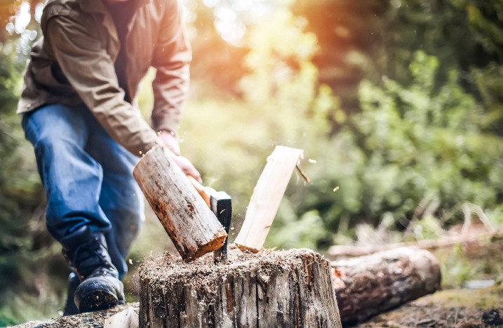 Ein Mann hackt Holz im sonnigen Wald.