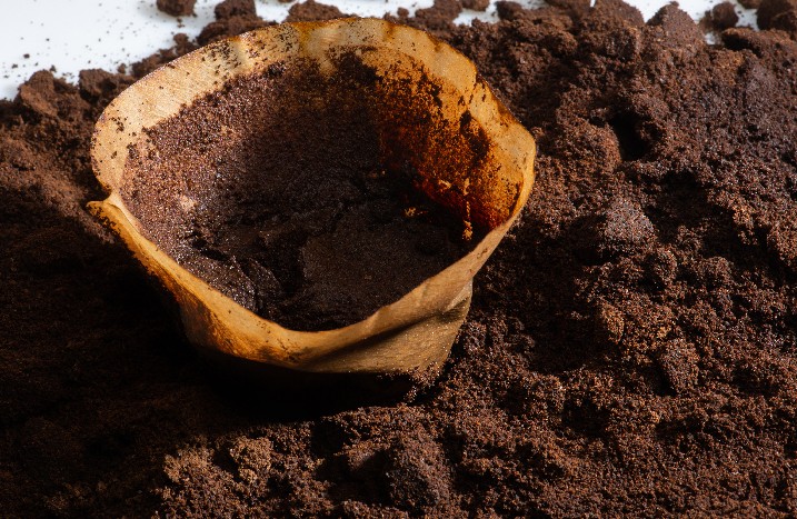 Kaffeesatz um und in Kaffeefilter verteilt.