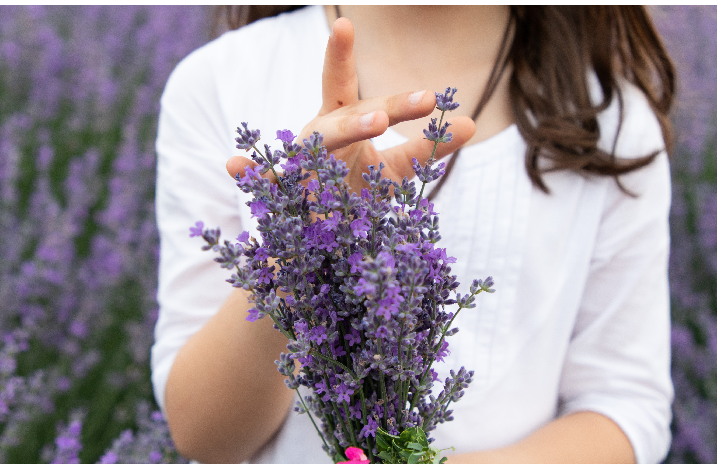 Lavendel bündeln
