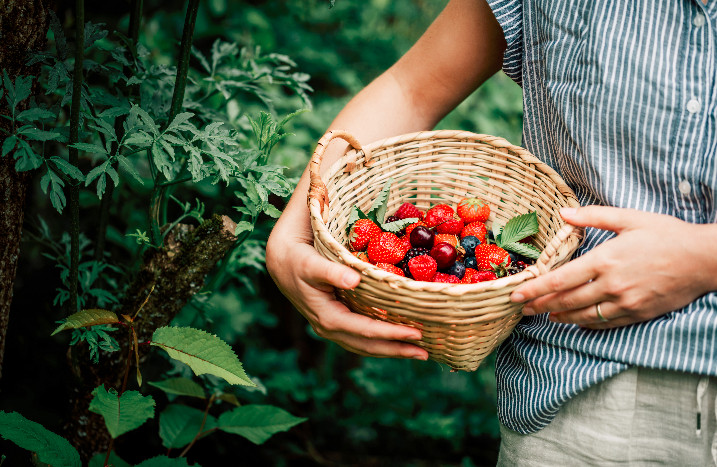 Mensch hält Korb mit gepflückten Beeren