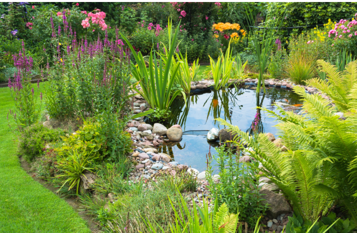 Garten mit Teich