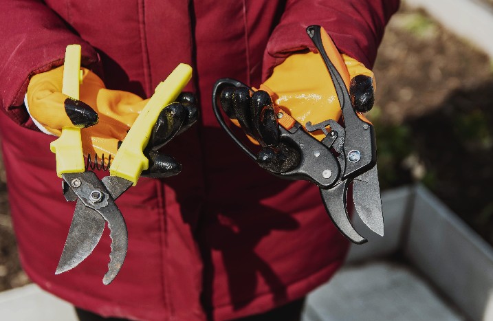 Person mit Handschuhen hält zwei verschiedene Gartenscheren.