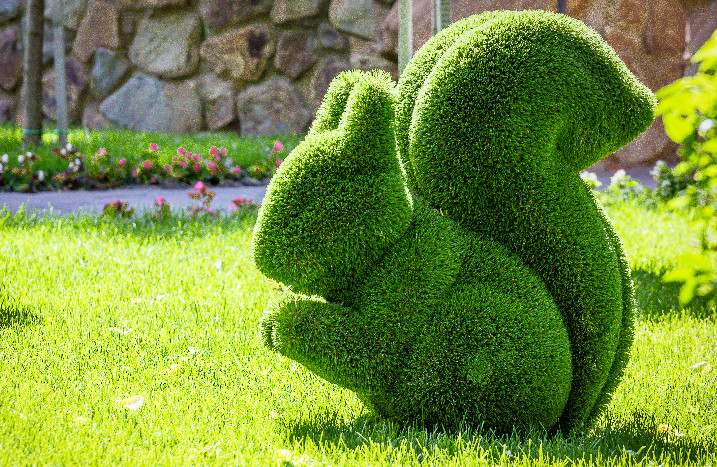 Hecke in Eichhörnchenform geschnitten