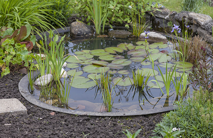 Teich bei einer Kräuterspirale