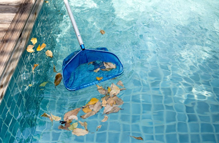 Blätter mit Kescher aus Pool entfernen
