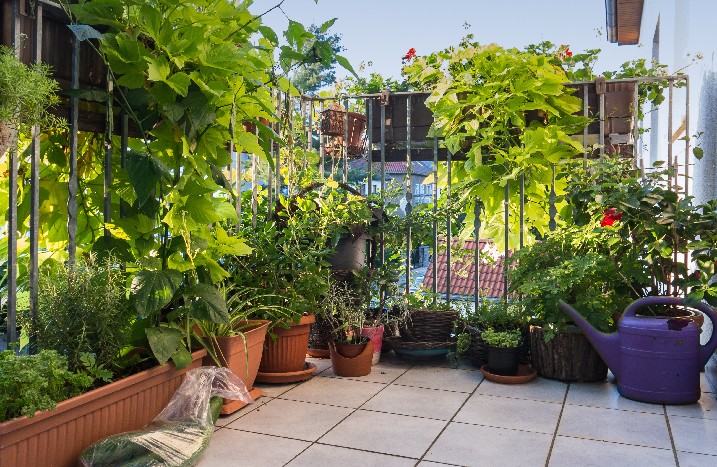 Ein Balkon mit zahlreichen Pflanzen und Blumen dekoriert.