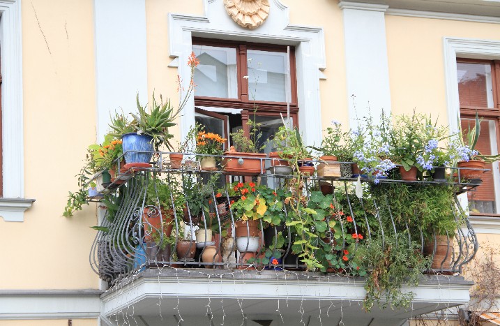 Ein Balkon, vollgestellt mit Pflanzen und Blumen.