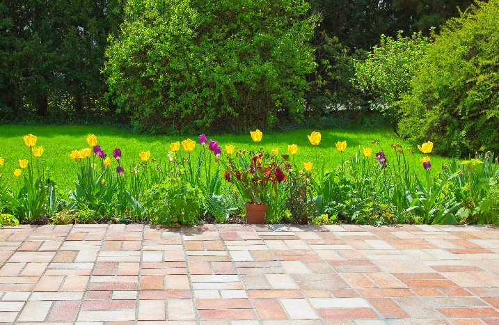 Tulpenbeet hinter der Terrrasse