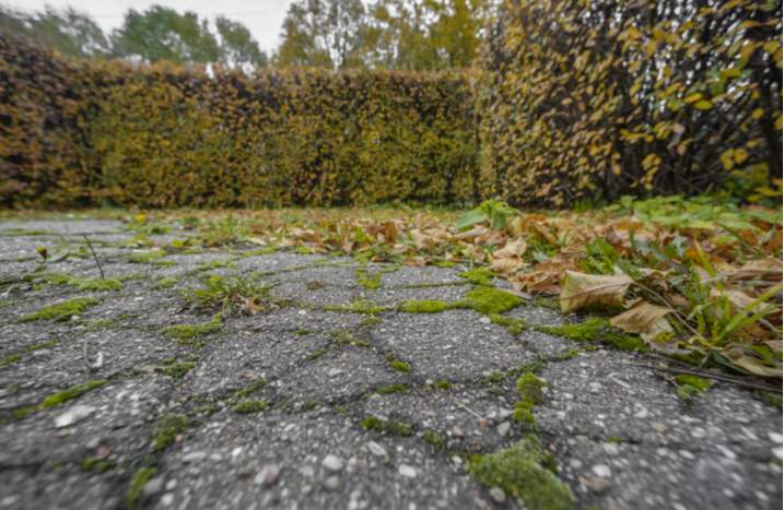 Wie eine Terrassenplattenversiegelung funktioniert